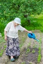 The grandmother waters bed Royalty Free Stock Photo