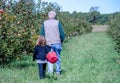 Grandpa and granddaughter picking apples