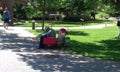 Grandpa tuckered out in the wagon