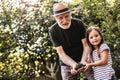 Grandparent with grandchild working in summer garden