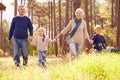 Grandparents and grandchildren walking in the countryside