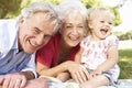 Grandparents And Granddaughter In Park Together