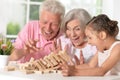 Grandparents with granddaughter playing together