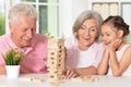 Grandparents with granddaughter playing together