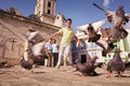 Grandparents And Grandson Boy Chasing Pigeons Flying Royalty Free Stock Photo