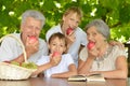 Grandparents and grandsons with apples Royalty Free Stock Photo