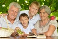 Grandparents with grandsons Royalty Free Stock Photo