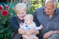 grandparents holding their grandchild boy Royalty Free Stock Photo