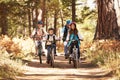 Grandparents and kids cycling on forest trail, California Royalty Free Stock Photo