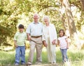 Grandparents In Park With Grandchildren Royalty Free Stock Photo