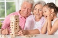 Grandparents playing with her little granddaughter