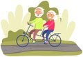 Grandparents riding double bike. Elderly couple riding twin or tandem bicycle on road in park