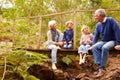 Grandparents sitting with grandkids on a bridge in a forest Royalty Free Stock Photo
