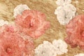 Grange roses sepia stylized background