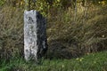 Granite boundary stone in the forest