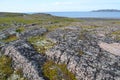 Granite exposures in the tundra on the bank of the Barents Sea. Murmansk region