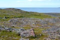 Granite exposures in the tundra on the bank of the Barents Sea.