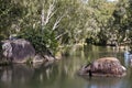 Granite Gorge near Mareeba view of river Royalty Free Stock Photo