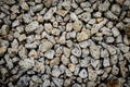 Granite gravel texture Royalty Free Stock Photo