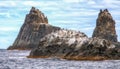 Tasman National Park, Tasmania Royalty Free Stock Photo