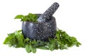 Granite Mortar and Pestle with Herbs Royalty Free Stock Photo