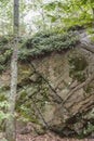 Granite outcrop hosting plants and lichen Royalty Free Stock Photo