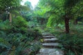 Granite path through Gondwana rainforest