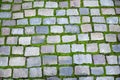 Granite paving tiles covered with green moss, beautiful background for decoration.