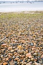 Granite pebble and boulder beach