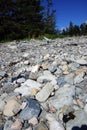 Granite pebbles form the beach