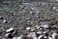 Granite pebbles in shallow water