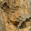 Granite rock close-up, detail of a Transylvanian mountain ridge