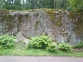 Granite rock with the ferns in the Park of Monrepos 3