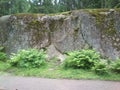 Granite rock with the ferns in the Park of Monrepos 5