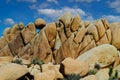 Granite rock formations in Joshua Tree National Park, California. USA