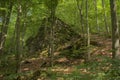 Granite rock lush green Ardennes forest