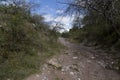 Granite rock, quartz and nickel streaks