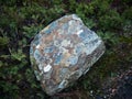 Granite rock in Tasmania, covered in Lichen, algae and fungus