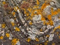 Granite rock texture with lichen