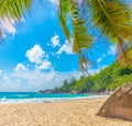 Granite rocks and palm trees in Anse Intendance beach Royalty Free Stock Photo