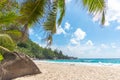 Granite rocks and palm trees in Anse Intendance beach Royalty Free Stock Photo