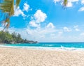 Granite rocks and palm trees in Anse Intendance beach Royalty Free Stock Photo