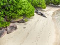 Granite rocks and sand in Anse bois de rose shore