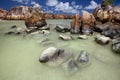 Granite rocks in the water