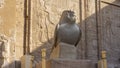 Granite sculpture of a falcon on the background of the wall of the ancient temple Royalty Free Stock Photo