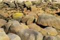 Granite sea coast rocks Royalty Free Stock Photo