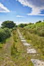 Granite Slabs Bodmin Moor Cornwall UK