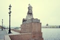 Granite Sphinx on the Neva embankment