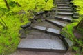 Granite Stone Steps along Green Moss