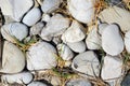 Through granite stones boulders the green grass simply grows. Force of nature concept Royalty Free Stock Photo